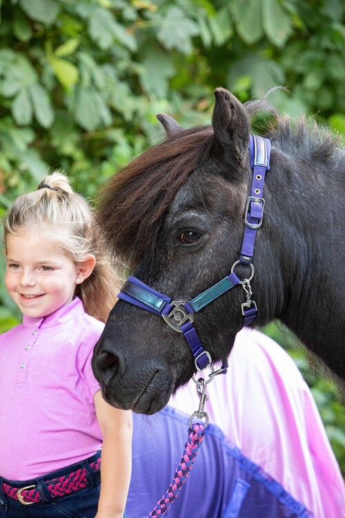 Harry's Horse Halsterset Diva Violet