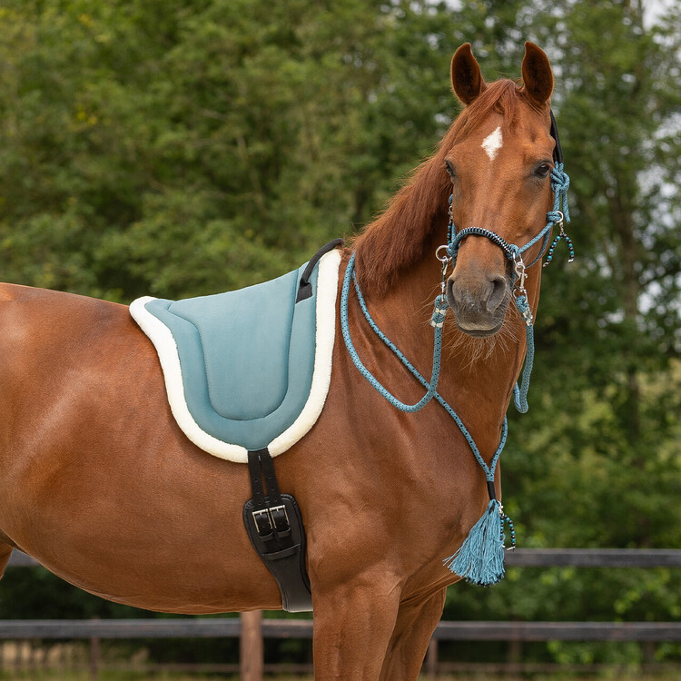 QHP Bareback pad