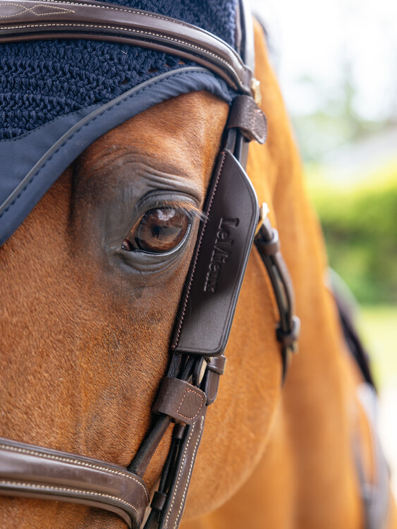 LeMieux Hoofdstel Blinkers