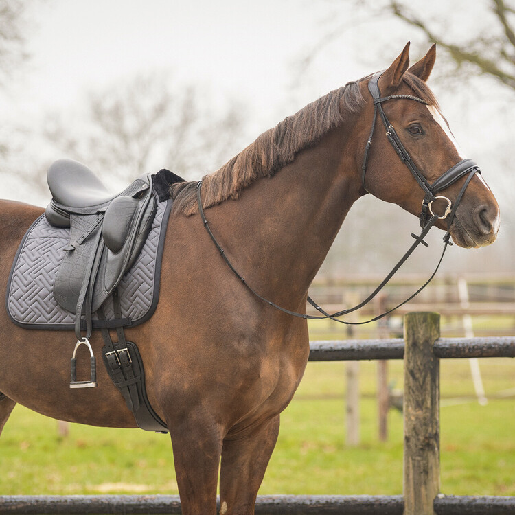 QHP Zadeldek Sensisoft