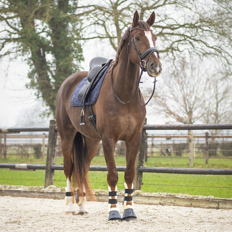QHP Zadeldek Sensisoft