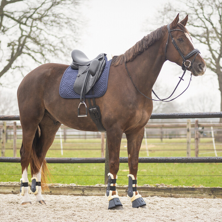 QHP Zadeldek Sensisoft