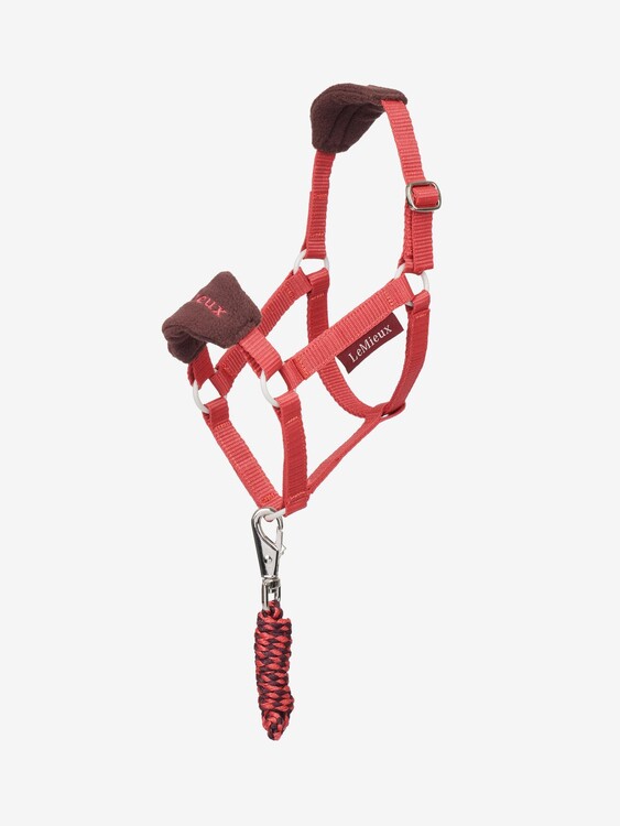 LeMieux Hobby Horse Vogue Halster