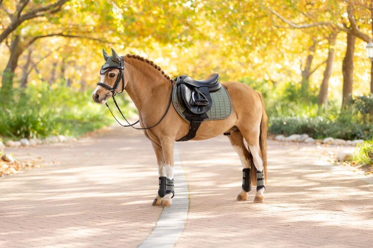 LeMieux Mini Classic Orennetje
