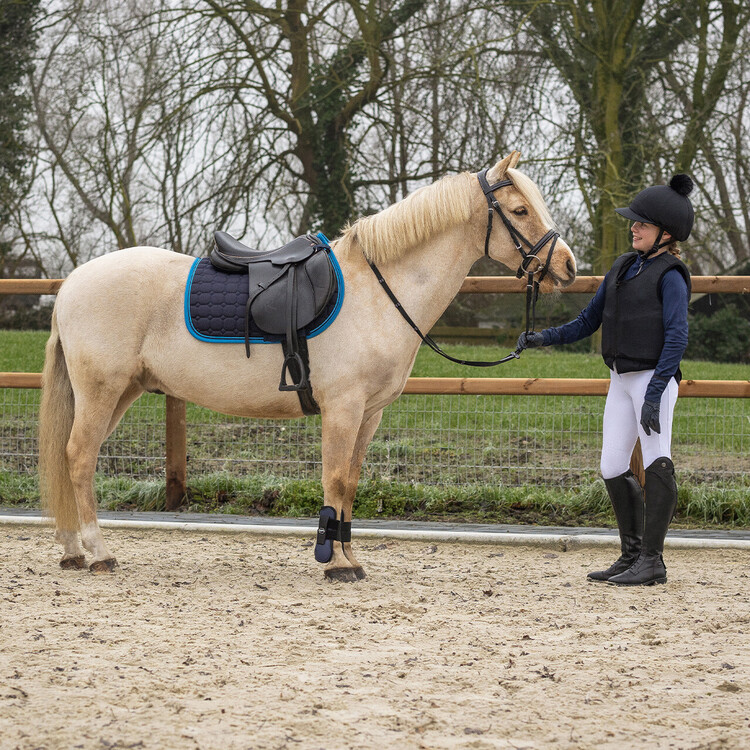 QHP Bodyprotector cover Glitter