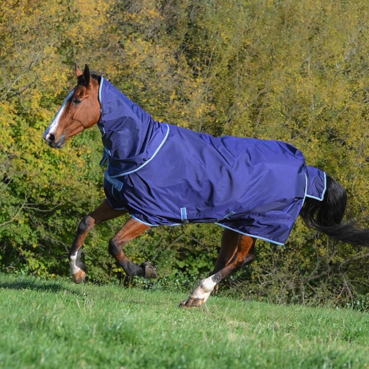 Bucas Regendeken Atlantic Exclusive & Neck