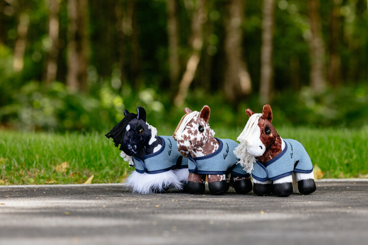 LeMieux Tiny Pony Razzle