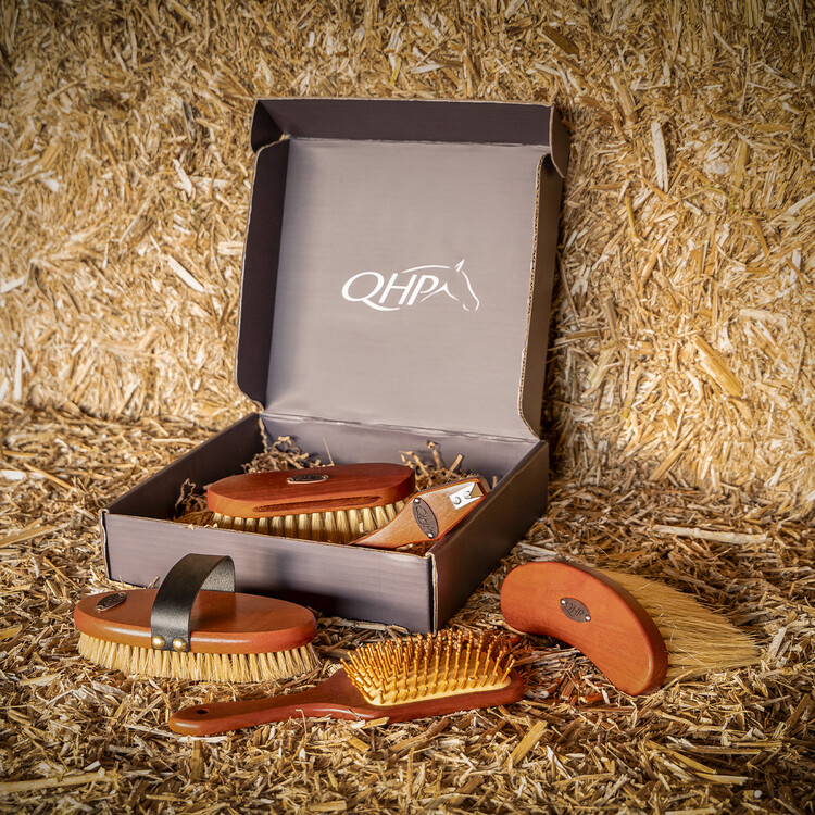 QHP Borstelset Royal