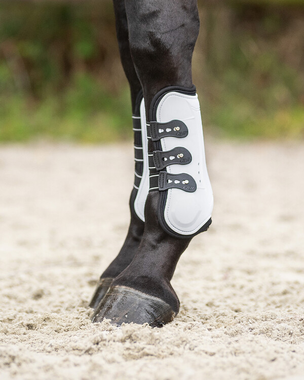 QHP Peesbeschermers Champion