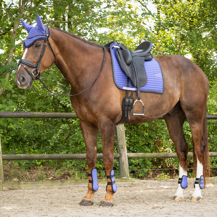 QHP Peesbeschermers Set