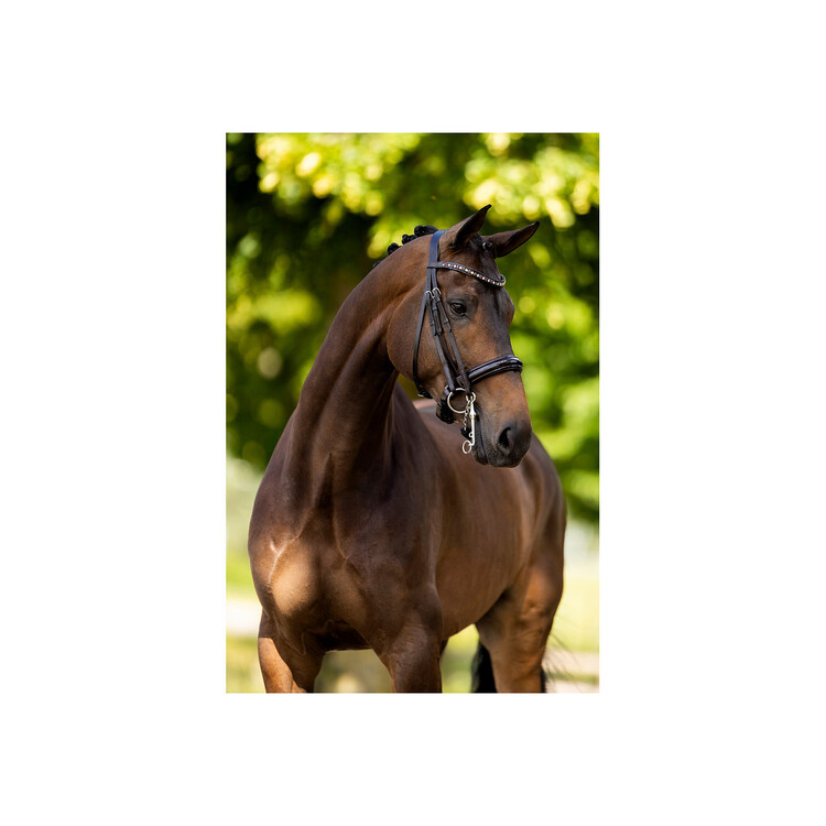 BR Stang en Trens hoofdstel Wendover