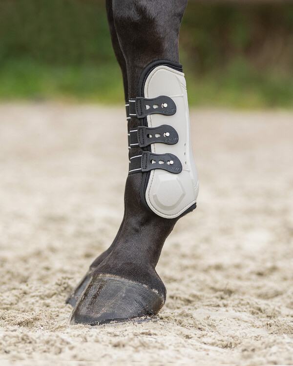 QHP Peesbeschermers Champion