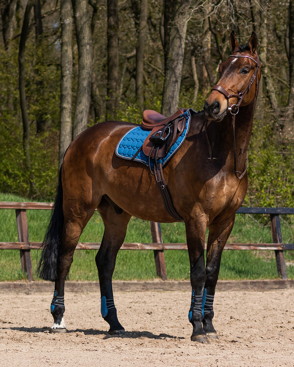 QHP Peesbeschermers Champion