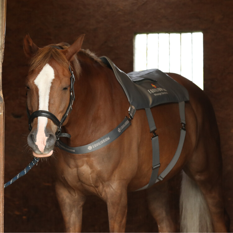 Equilibrium Massage Pad voor paarden