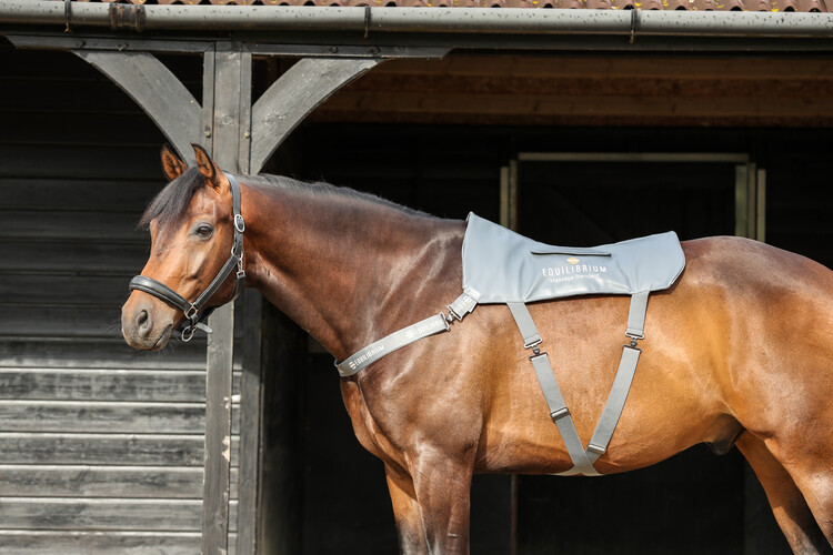 Equilibrium Massage Pad voor paarden