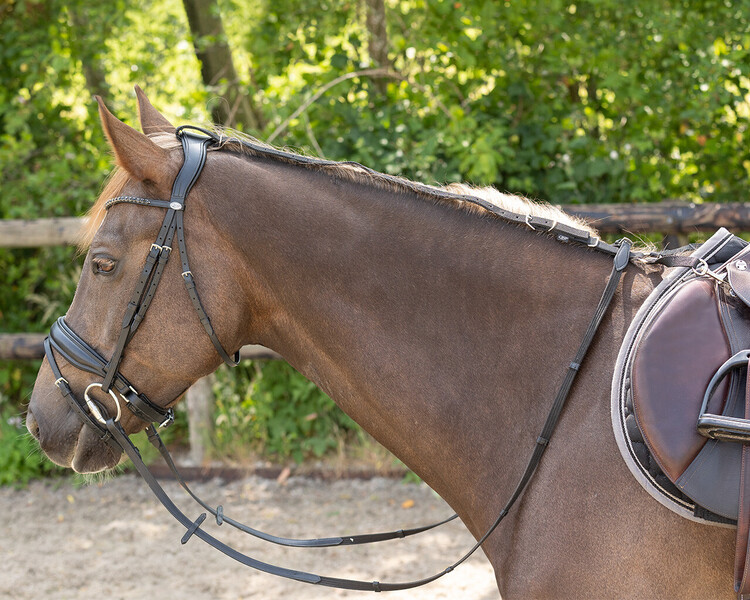 QHP Anti-graas teugel