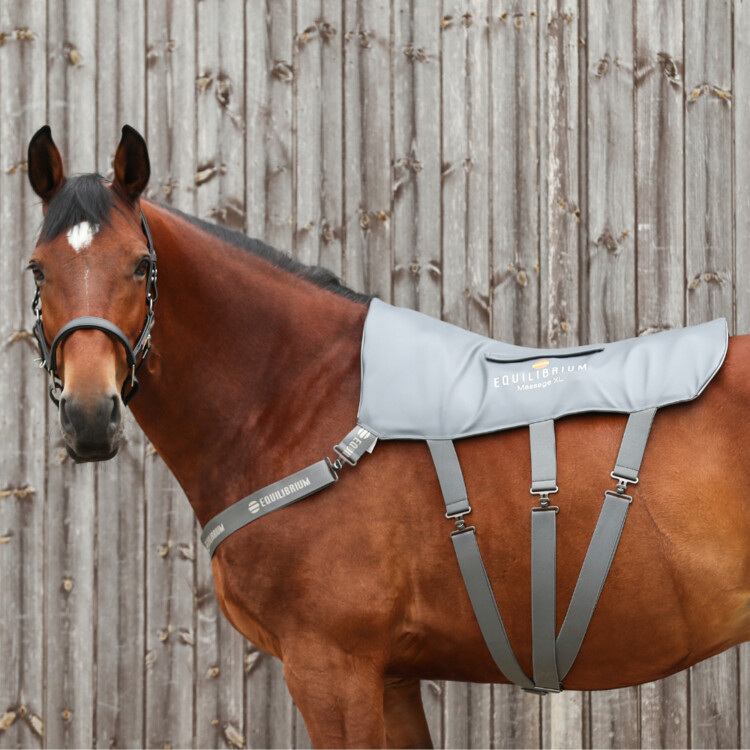 Equilibrium Massage Pad XL voor paarden