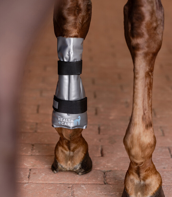 Waldhausen Cooling- of warming peesbeschermer Hot-chily leg