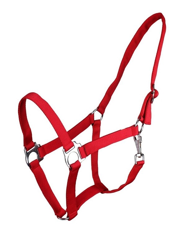 QHP Halster Basic met schuif