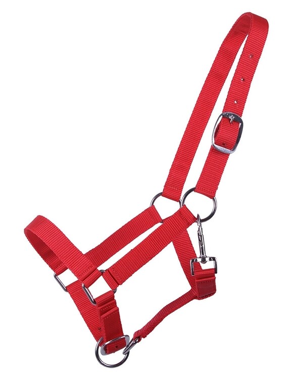 QHP Halster jaarling