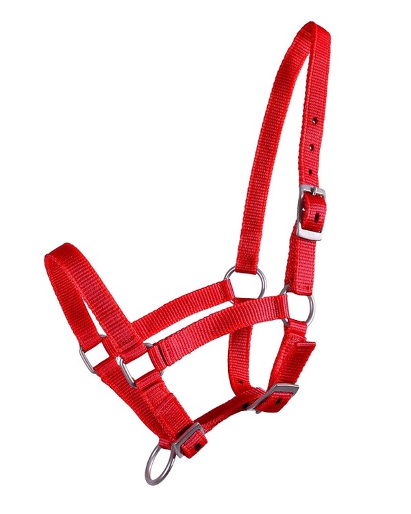 QHP Veulenhalster