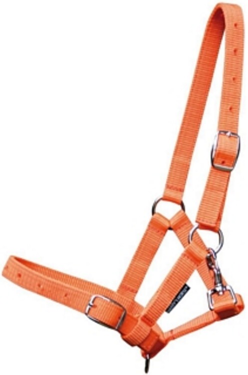 Harry's Horse veulenhalster