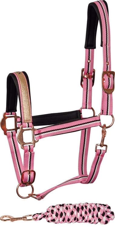 Harry's Horse Halsterset Mare