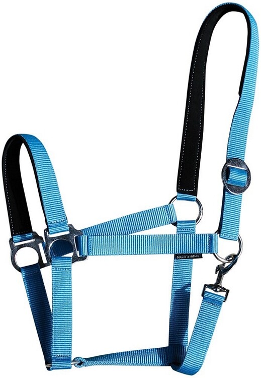 Harry's Horse Halster Padded