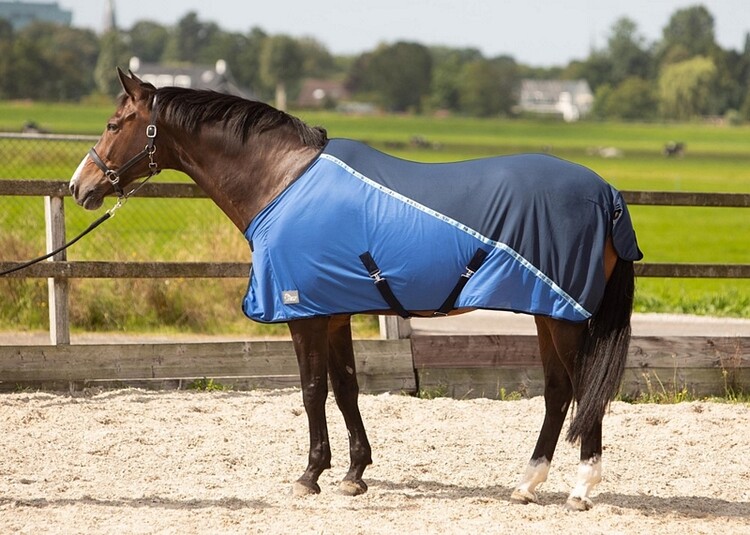 Harry's Horse Vliegen-coolerdeken Mesh Pro