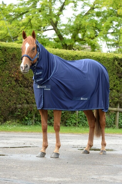 Bucas Power Cooler met afneembare Hals