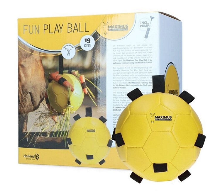 Maximus Fun Play Ball