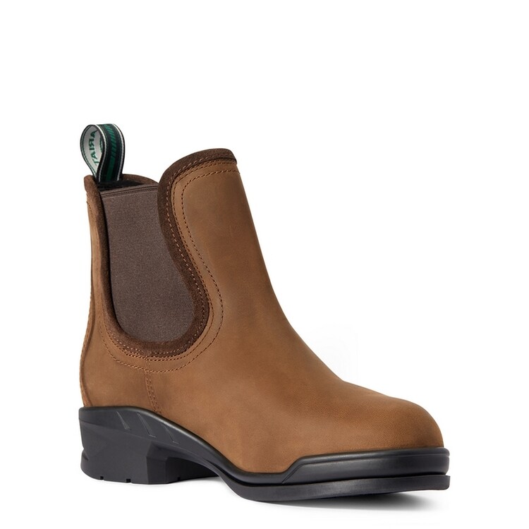 Ariat Keswick Steel Toe Paddock schoen