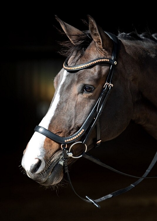 Harry's Horse Hoofdstel Rosegold anatomic