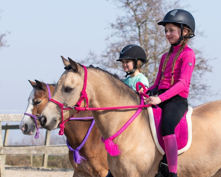 QHP Bareback pad