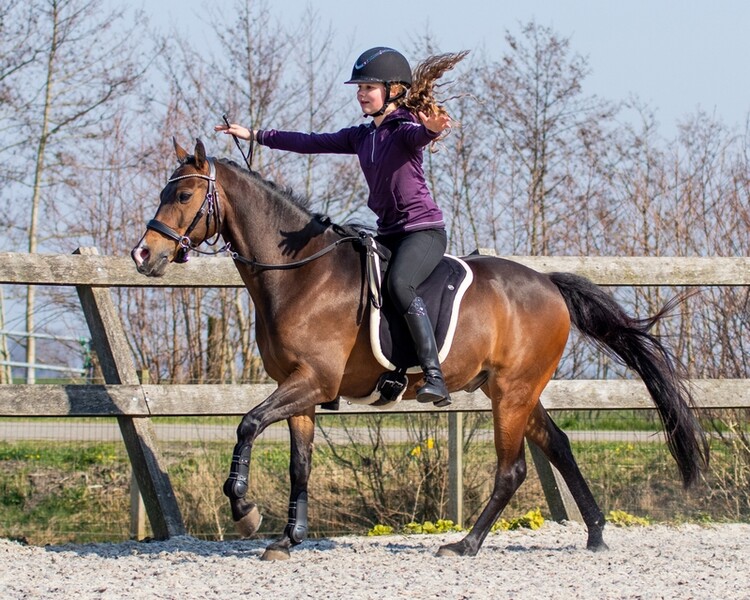 QHP Bareback pad