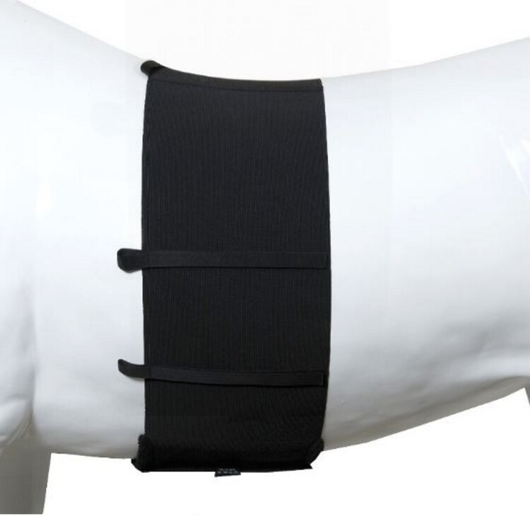 One Body Bandage