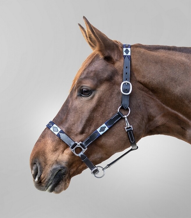 Waldhausen Lederenhalster Polo