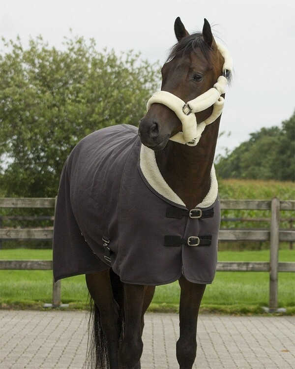QHP Halster Alaska met bont
