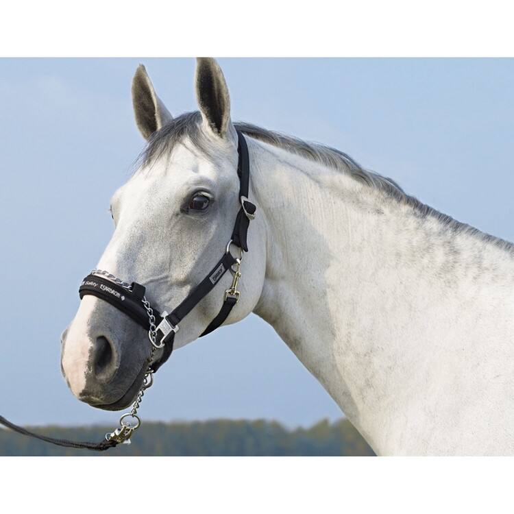 Eskadron Halster Controle met ketting