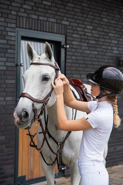 PresTeq Hoofdstel FaySport