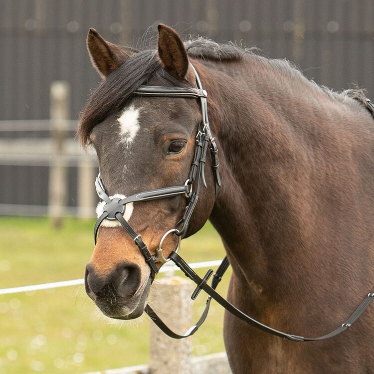Harry's Horse Hoofdstel Mexicaans
