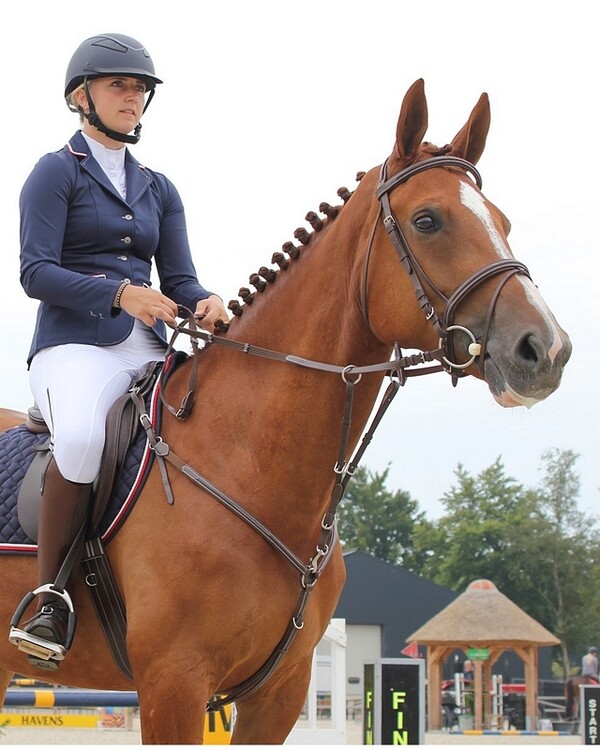 QHP Borsttuig Luxe Stiksel