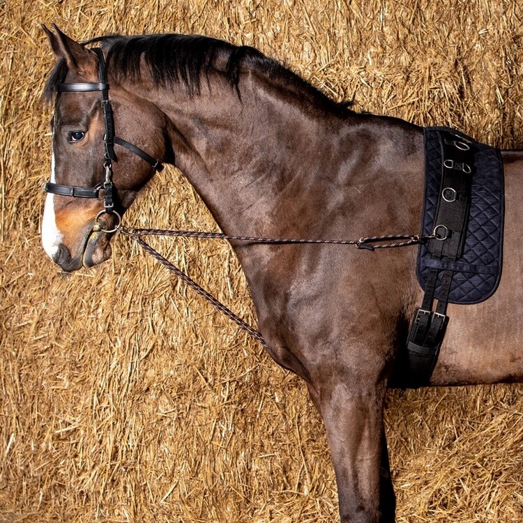 Harry's Horse Longeerkoord V-line (paar)