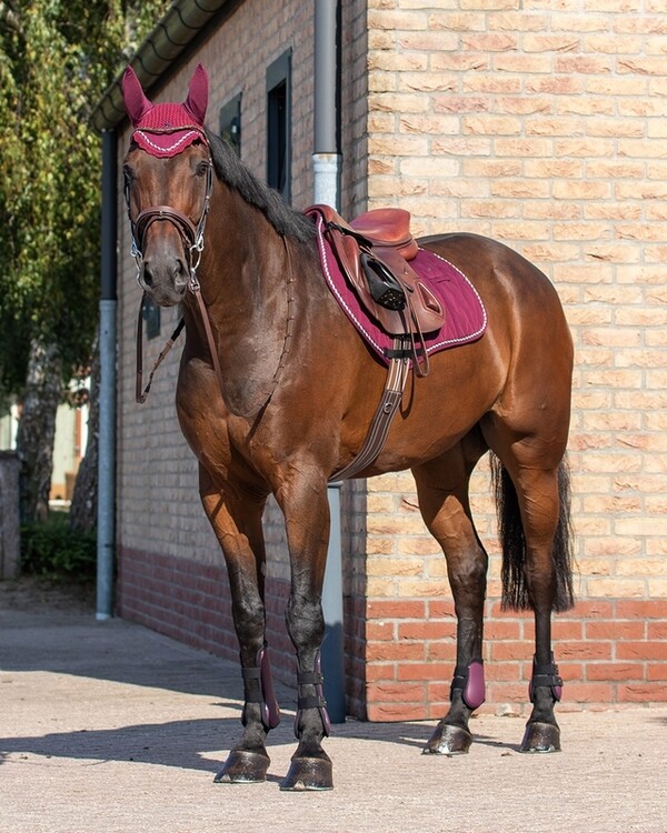 QHP Peesbeschermers Set