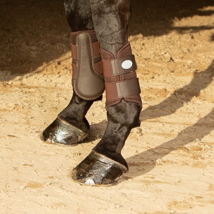 Harry's Horse Beenbeschermers Flextrainer Air mesh