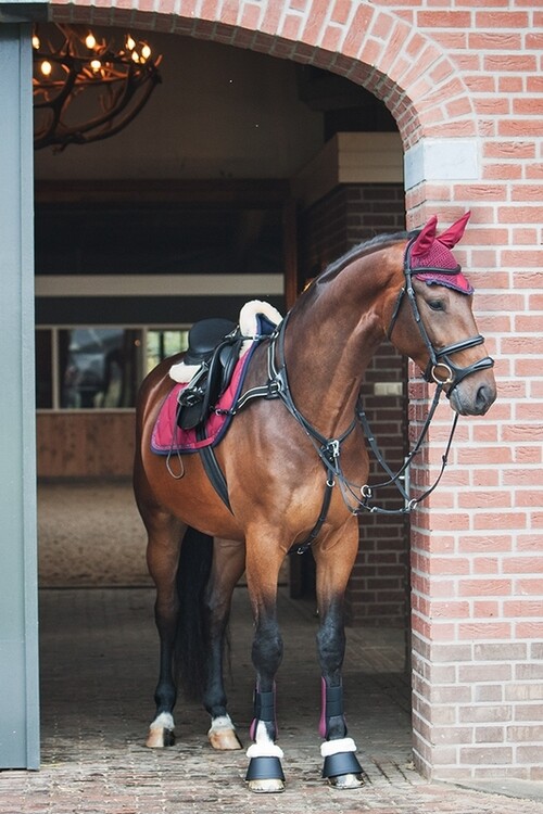 BR Strijklappen Event zonder elastiek