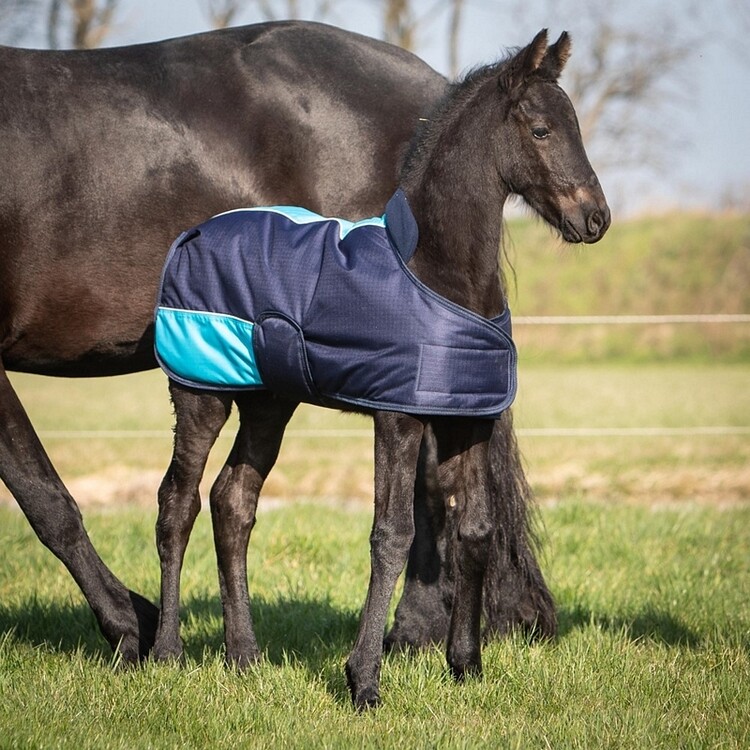 Harry's Horse Veulendeken Two Tone