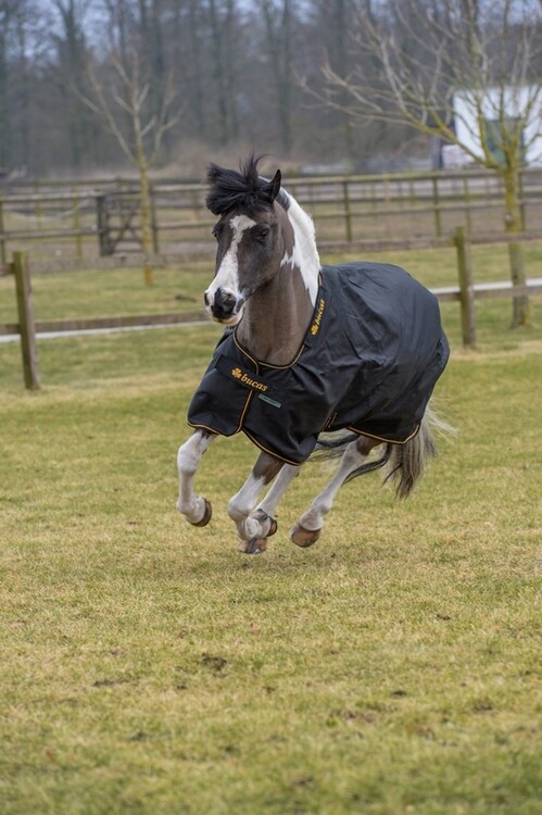 Bucas Irish Turnout Extra 300grs