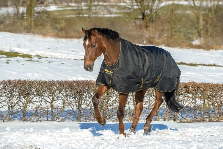 Bucas Irish Turnout Light/50grs Highneck