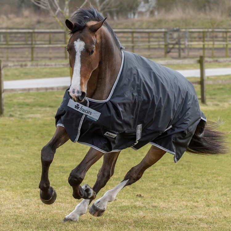 Bucas Anniversary Turnout 150gr Stay-Dry Winterdeken